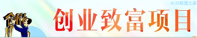 www.cn.bizs.top